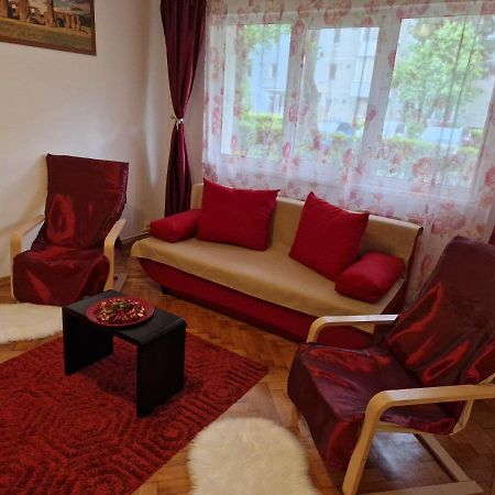 Petuniei Apartment Braşov Eksteriør bilde