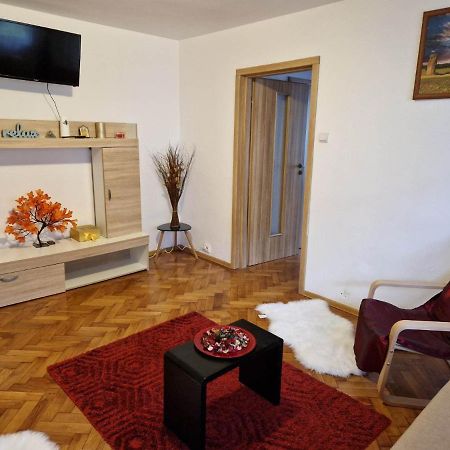 Petuniei Apartment Braşov Eksteriør bilde