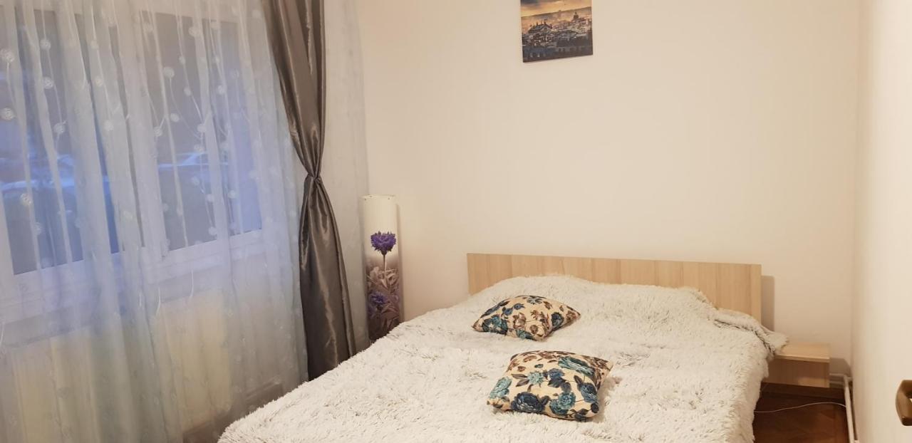 Petuniei Apartment Braşov Eksteriør bilde