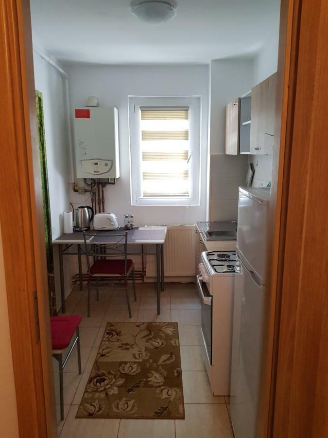 Petuniei Apartment Braşov Eksteriør bilde