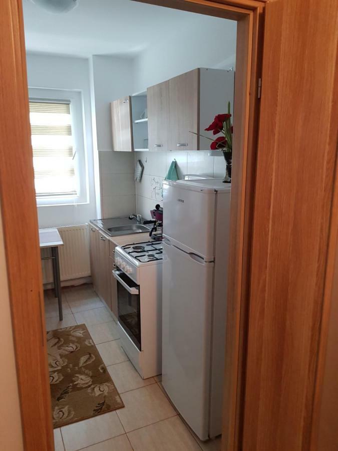 Petuniei Apartment Braşov Eksteriør bilde