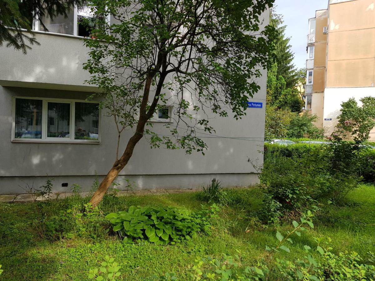 Petuniei Apartment Braşov Eksteriør bilde
