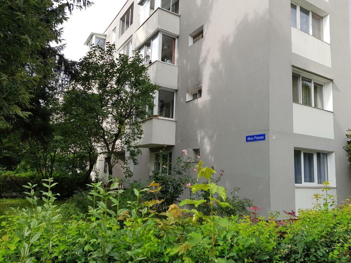 Petuniei Apartment Braşov Eksteriør bilde